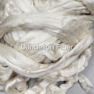 Dandelion Fiber (RCFs). Combed Sliver.