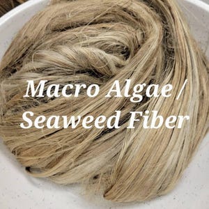 Seaweed / Macro Algae Long Fiber Bundle. 100% Natural Fiber.