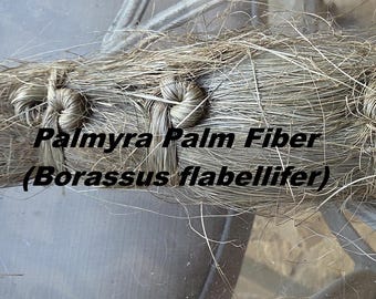 Fibra de palma de Palmira (tallo). Sin peinar. Hechos crudos sin terminar.