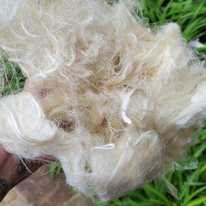 Corn Fiber Bundle. Natural Un-Combed Fiber. Raw Bast Textile