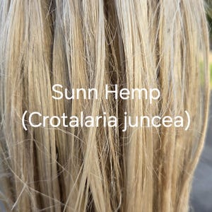 May include: Close-up of sunn hemp fibres, a natural material with a light tan colour. The image shows the texture and strands of the hemp, with the text "Sunn Hemp (Crotalaria juncea)" overlaid on the fibres.