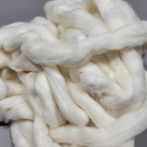 Cotton Sliver, Conventional USA Upland Variety