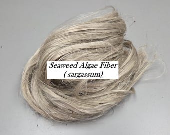 Algae Brown Seaweed Fiber Bundle. (Sargassum). Semi-Combed, Natural Fiber. Sold by Weight.