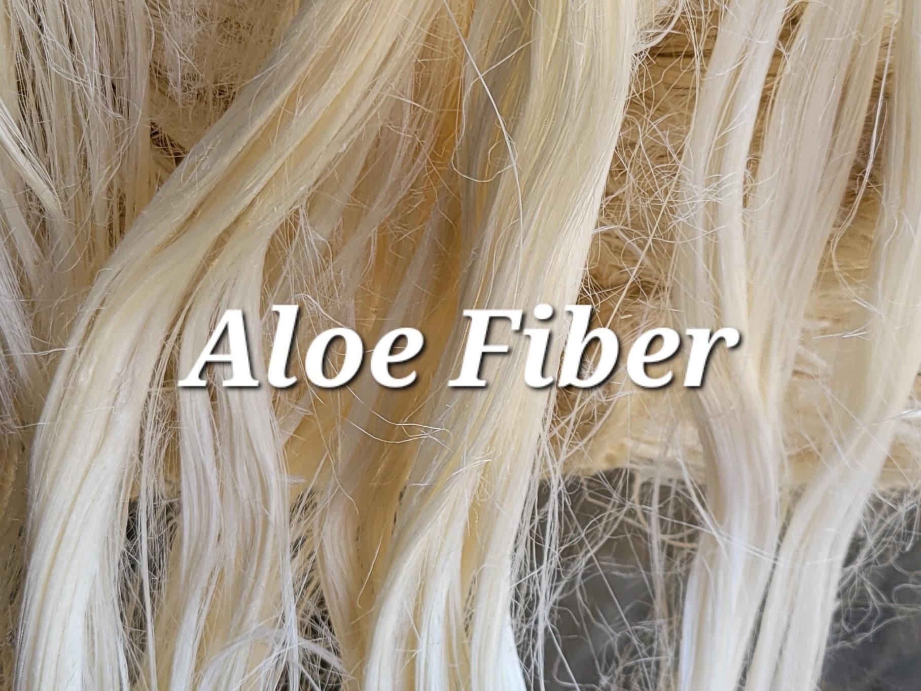Aloe Vera Fiber Bundle. 1 oz. 100% Natural Fiber. Great for Basketry, Knitting, Weaving, Fiber Arts, ect