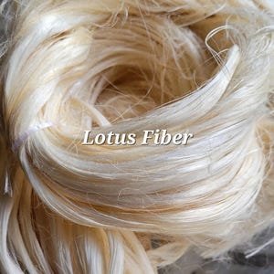 Lotus Flower Plant Long Fiber Bundle. 100% Natural Fiber. Semi Combed.