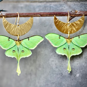 Green Butterfly Earrings / luna moth Inspired by Natures Beauty -  Colour pop Statement butterfly lovers gift green wing jewellery bohemian