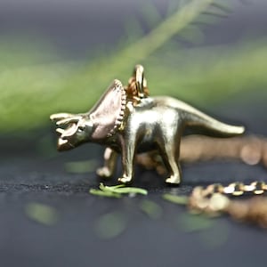 Dinosaurier Halskette, Triceratops Halskette, Triceratops Halskette, Dinosaurier Schmuck, Dinosaurier Schmuck, gold Halskette kleine goldene Halskette