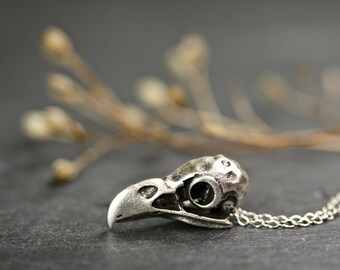 Bird Skull Necklace, parrot skull skull necklace witch necklace bird necklace nature necklace silver necklace wildlife necklace gift for her
