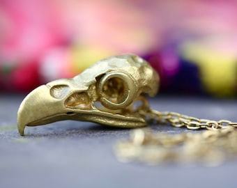 Collar de calavera de loro de latón crudo, joyería de aves Whimsigoth