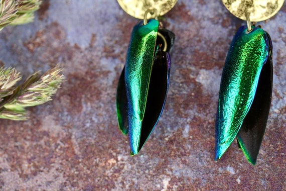 Beetle clearance wing earrings