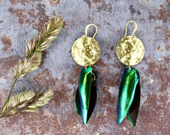 Echte Käfer Flügel Ohrringe, Messing Münzen Ohrringe, Boho Schmuck