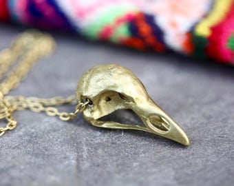 Bird skull necklace skull necklace witch necklace bird necklace nature necklace silver necklace wildlife necklace boho necklace gift for her