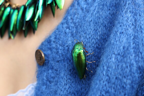 Live outlet bug brooch