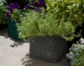 Gray Felt Planter Boxes for Gardening by Urban Greenie