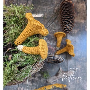Amigurumi Mushroom - Mushrooms Chanterelle Set 2 patterns - Mushrooms Crochet Pattern - Easter Decor
