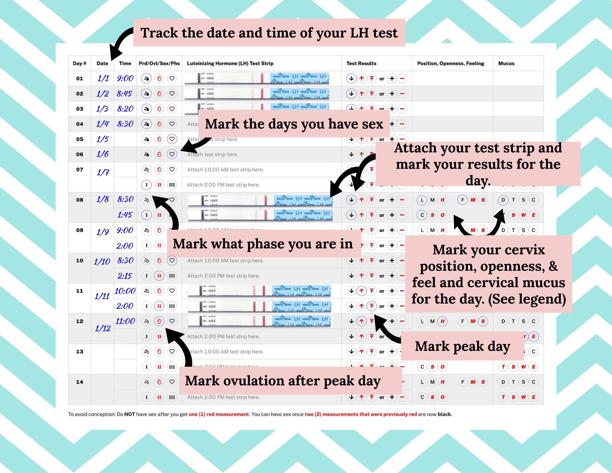 Natural Family Planning Fertility Tracker PDF Printable File ONLY Opk