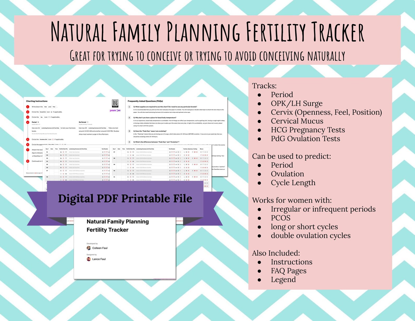 Natural Family Planning Fertility Tracker PDF Printable File ONLY Opk