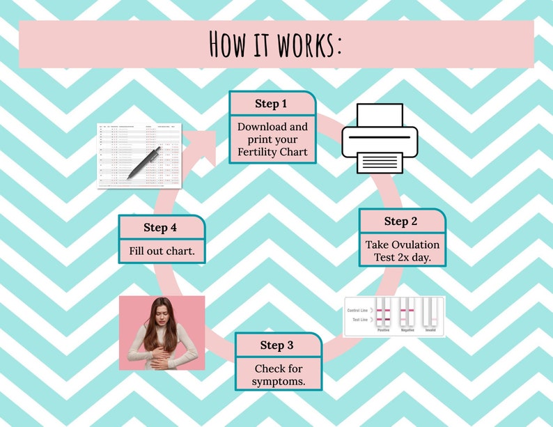 Natural Family Planning Fertility Tracker PDF Printable File ONLY Opk