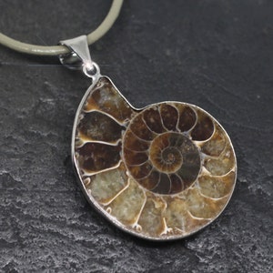 Ammonite Pendant with Leather Cord - 35mm x 52mm