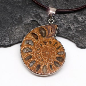 Ammonite Pendant with Leather Cord - 30mm x 52mm