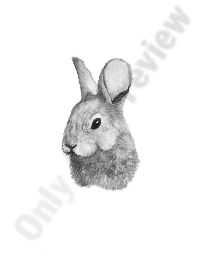 Neutral Nursery Wall Decor Set of 4 Prints Baby Animals Etsy