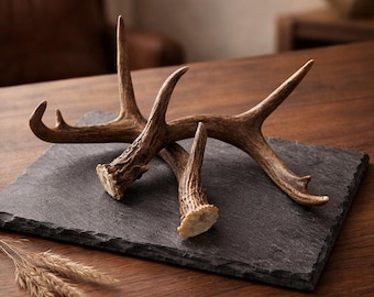 Pair Antlers Small