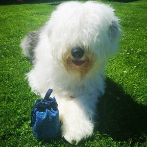 May include: A white Old English Sheepdog with long, fluffy fur is lying on green grass. The dog has a blue and white patterned fabric bag in front of it.