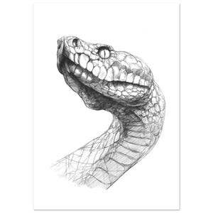 以下が含まれることがあります： 横向きのヘビの頭部を描いた白黒の鉛筆画。詳細なハッチングと陰影を用いて、爬虫類の質感のある鱗、目、顎のラインを表現しており、背景は無地の白となっている。