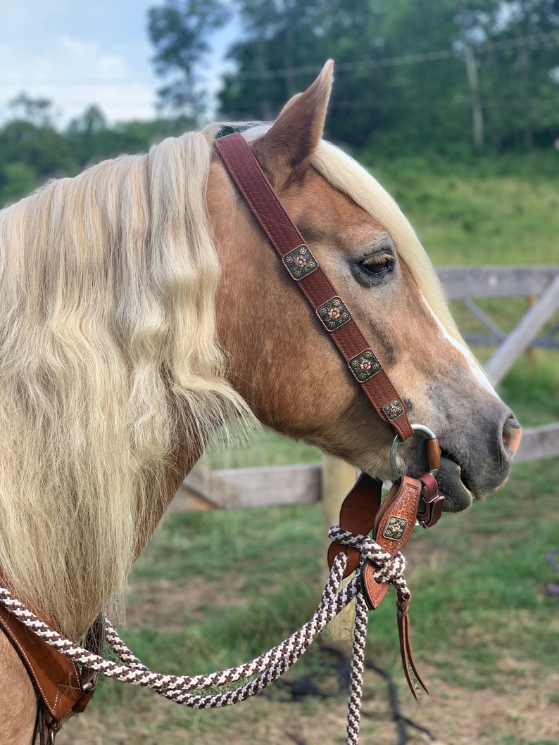 Leather Belt Headstall Etsy