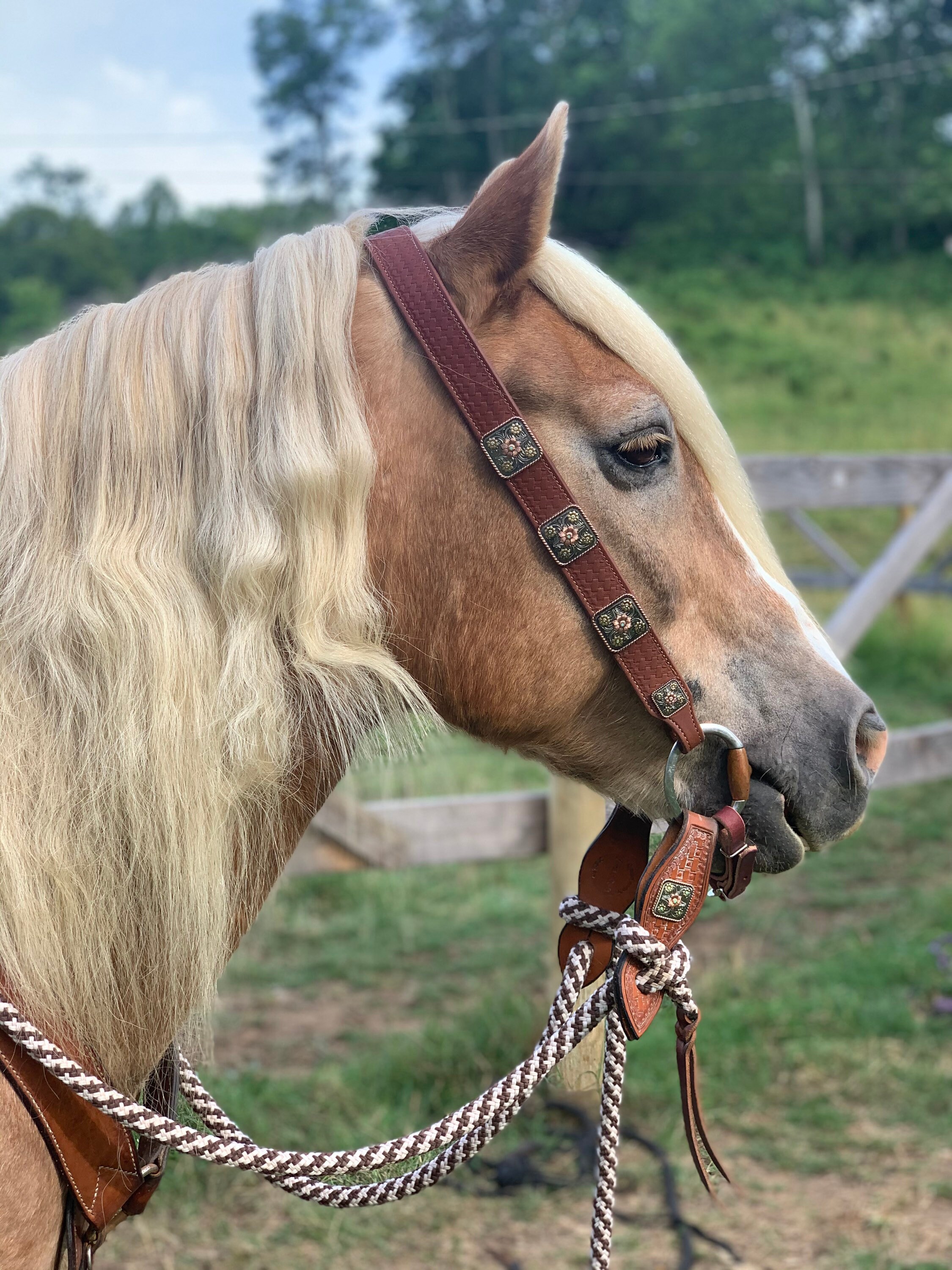 Belt bridle Clearance