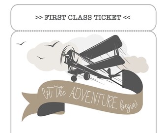 Vintage Airplane Baby Shower Invitation