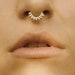 see more listings in the Gold Plated Septum Rings section