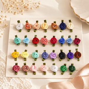 Può includere: Una collezione di trenta piccole decorazioni a forma di rosa in tessuto, disposte in quattro file su un espositore rettangolare. Ogni rosa presenta un design a nastro a spirale in vari colori, tra cui bianco, rosa, rosso, blu, giallo e nero.