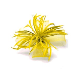 Accessoire de coiffure ou broche fleur en sisal et plumes, bibi, fascinateur zdjęcie 6