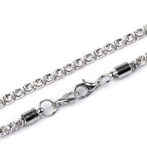 Può includere: Una collana a catena d'argento con strass trasparenti e chiusura a moschettone.