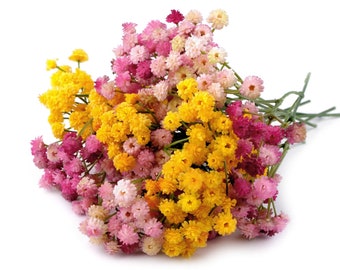 Branche de gypsophile 22cm / Rose, jaune / Branche feuillage artificiel décoration mariage ou Noël, fleurs mariage, fleurs pour couronnes