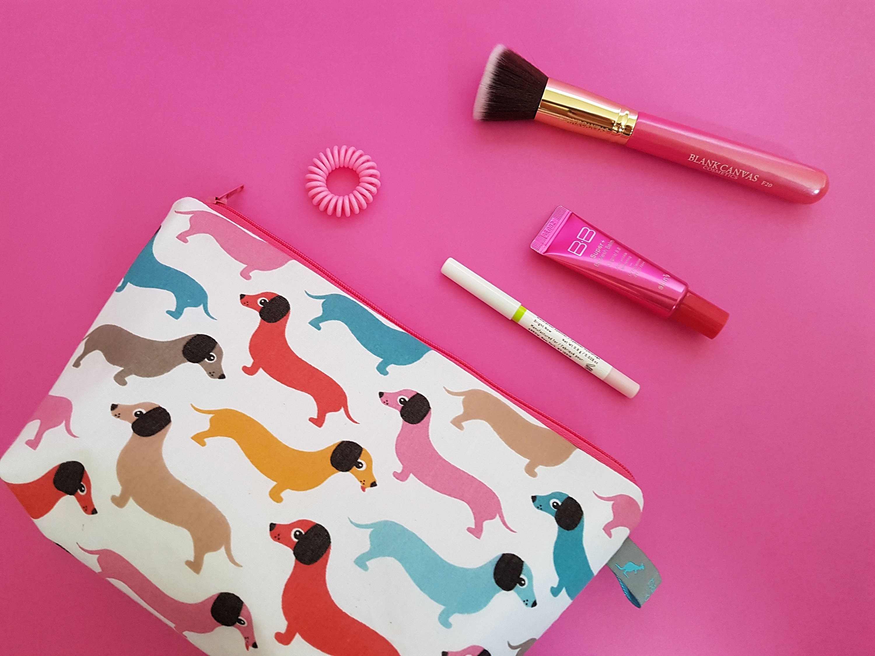Sausage Dog Cosmetic Bag / Wash Bag