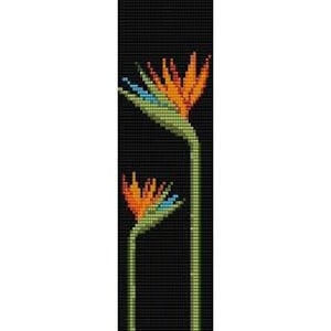 May include: Two orange, blue, and green bird of paradise flowers on a black background.