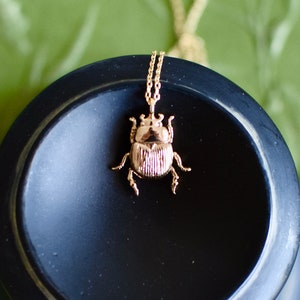 Gold or Silver) Small scarab pendant necklace, 18K gold plated or rhodium plated, insect jewelry
