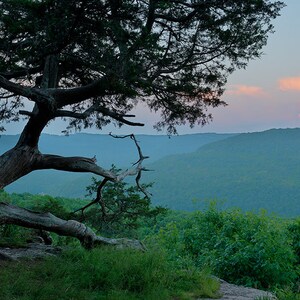 Nature photography, moonrise, hedges pour off, ozarks, arkansas, moon, clouds, juniper, cedar, tree, sunset