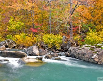 Nature Photography, Fall Foliage, Richland Creek, Arkansas, Water, Orange, Yellow, Rocks,