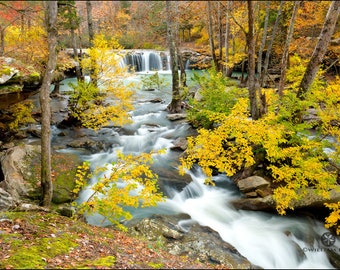 Nature Photography, Falling Water Falls, Waterfall, Arkansas, Ozark Mountains, Ozarks, Richland Creek Wilderness Area