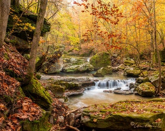 Nature Photography, Arkansas, Smith Creek, Nature Conservancy, Smith Creek Nature Preserve, Arkansas, Buffalo River