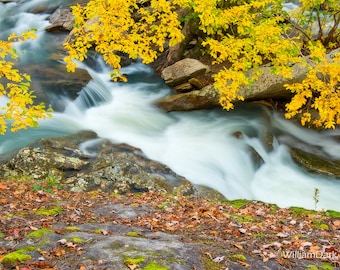 Nature Photography, Arkansas, Falling Water Falls, Richland Creek Wilderness, Ozarks, Ozark Mountains, Autumn, Fall Color, Waterfall