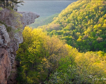 Nature Photography, Buffalo River, Hawksbill Crag, Whitaker Point, Arkansas, Spring, Green, Yellow, Ozark Mountains