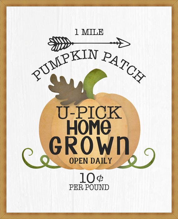 U-Pick Pumpkins White Framed Print Wall Art U-Pick Pumpkins White Framed Print Wall Art