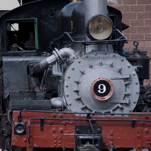 May include: A vintage steam locomotive with a red and black paint scheme. The locomotive is numbered "9" and has a large, round, silver-colored steam dome. The locomotive is emitting steam from its smokestack.