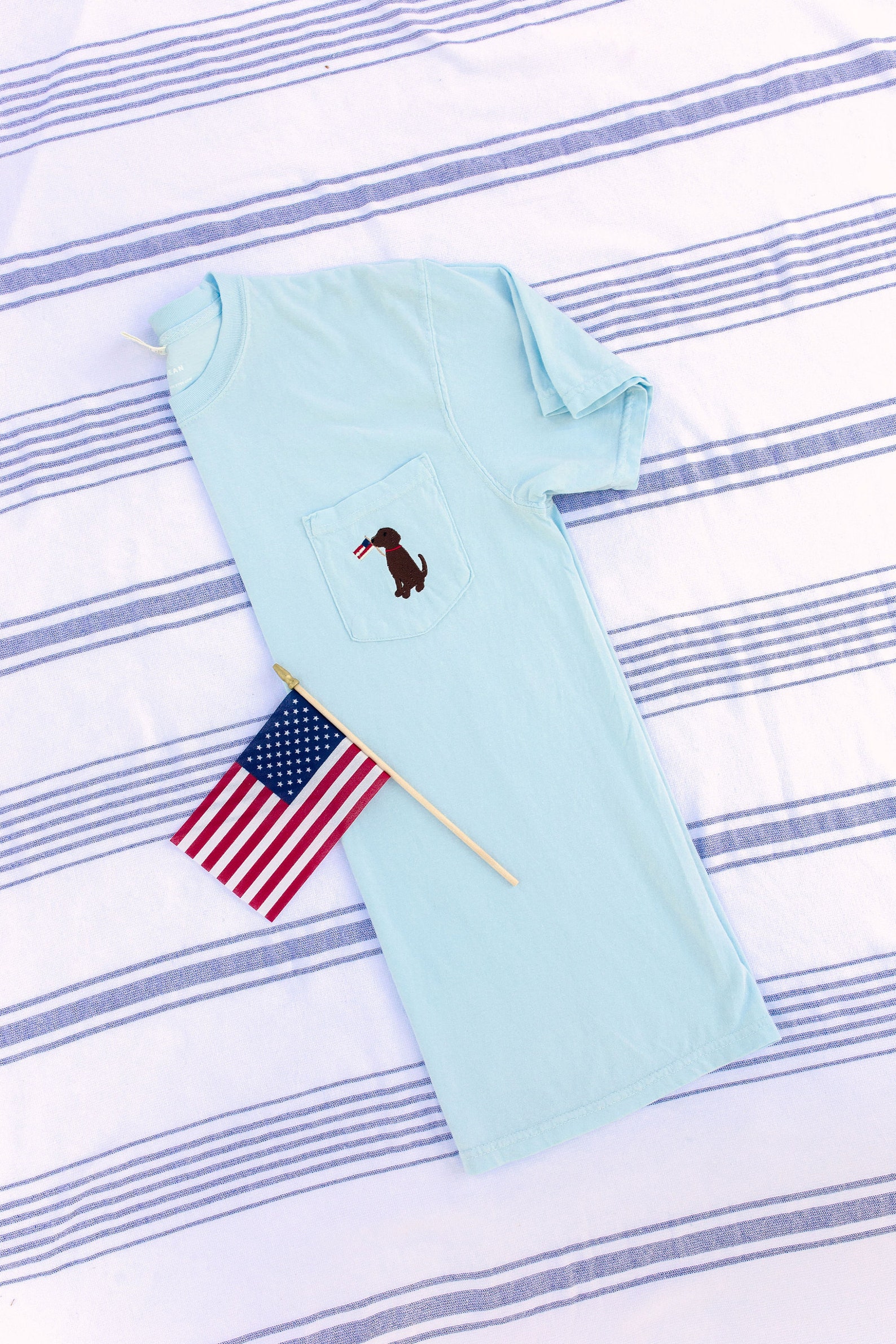 Embroidered Tee - Patriotic Puppy main image 0