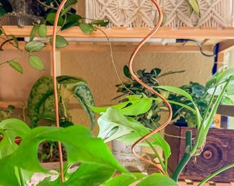 Handmade Copper Spiral Trellis for Houseplants, Unique Arched Plant Support, Modern Indoor Plant Accessory