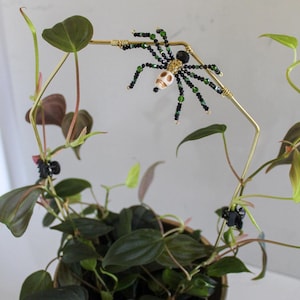 Coffin Plant Trellis with Beaded Skull Spider: Vining Plant Support